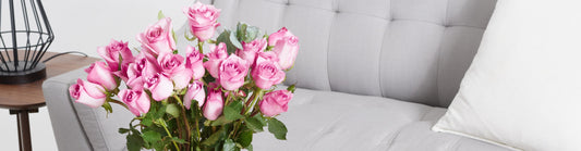 The Ultimate Guide to Lavender Roses: Meanings, Occasions, and Care