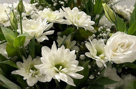 A New Kind of Sympathy Gift — Why Flowers Still Matter