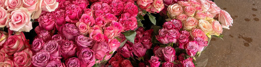 How Online Flower Delivery Brings Meaning Back to Everyday Moments