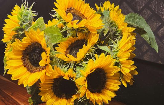 Sunflowers: A Summer Hostess Gift That Always Lands