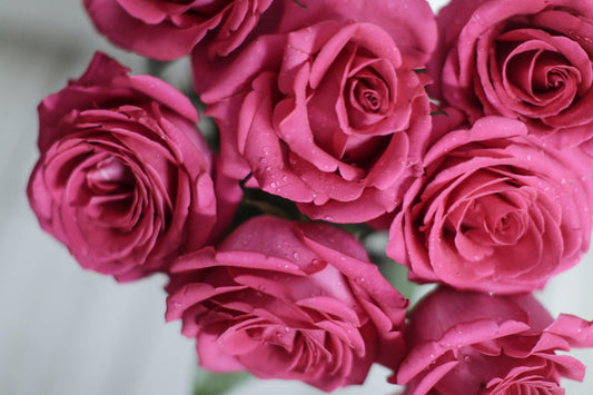 Flower Deliveries for First Semester College Students
