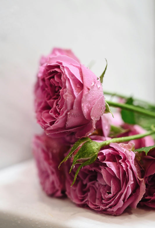 How Long Do Flowers Really Last? (And How to Make Them Last Longer)