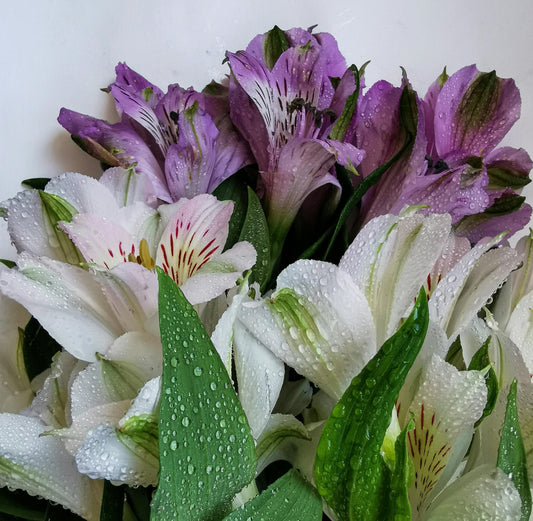 Celebrate Anniversaries with the Soft Joy of Lilies