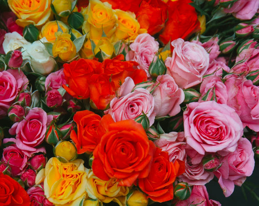 Welcome a New Baby from Afar with a Fresh Flower Delivery