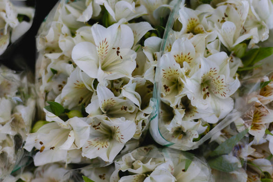 Alstroemeria Lilies Make Romance Feel Effortless