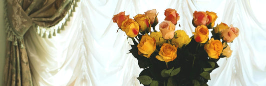 How Roses Can Reset Your Mindset and Brighten Your Day
