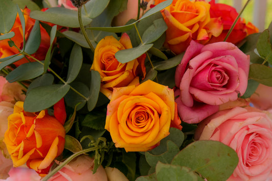 Why Assorted Color Roses Are the Perfect Pick for Fall