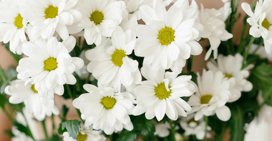 Send Flowers Just Because (and Because You Miss Them)