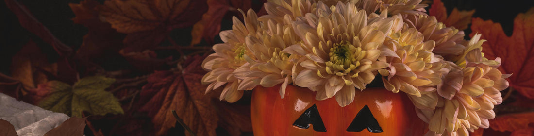 Halloween Color Palettes: Flowers That Fit the Season
