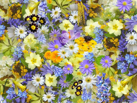 Seasonal Blooms: Why Timing Matters When You’re Sending Flowers