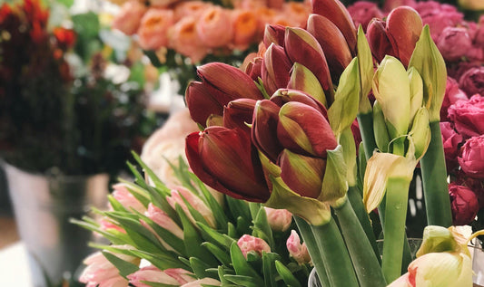 The History and Significance of Gifting Flowers on Father’s Day