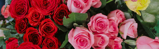 How Sending Yourself Flowers Boosts Your Well-Being