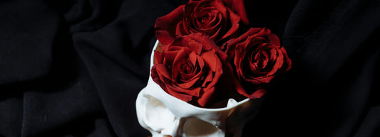 halloween-roses-with-aquarossa-farms