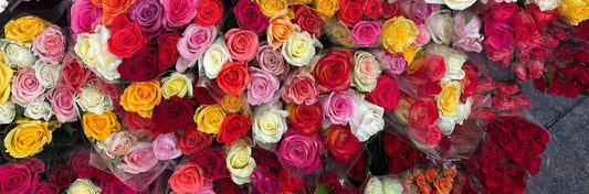 The Psychology of Flowers in the Fall