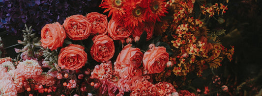 Why Roses Are the Most Versatile Gift You Can Send