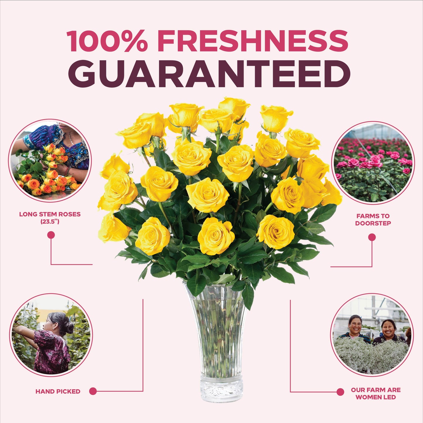 Yellow Roses Bouquet: Flower Delivery for Every Occasion