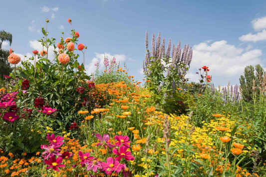 Why Summer is the Perfect Time to Send a Bouquet of Roses