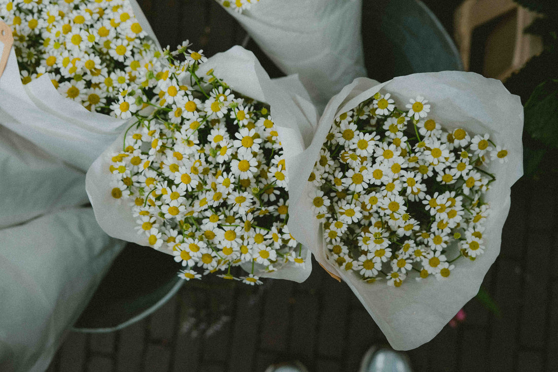 Just Because: The Best Friend Surprise You Didn’t Know They Needed