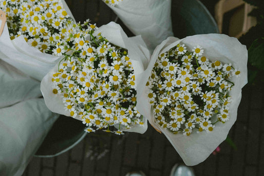Just Because: The Best Friend Surprise You Didn’t Know They Needed