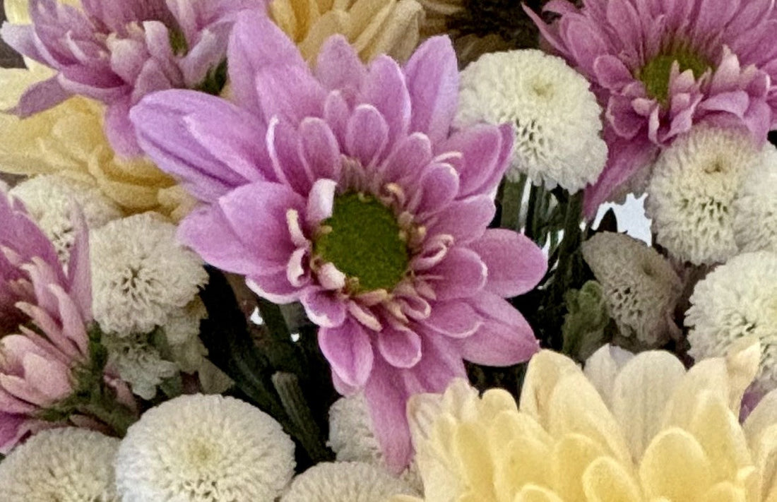 Why You Should Bring Flowers When You Apologize to a Friend