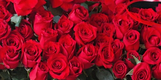 Brighten Up Your Grandparents’ Day with Roses