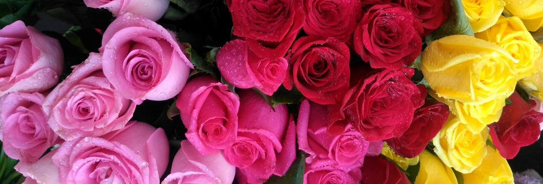 The Meaning Behind Assorted Color Roses as Thank You Flowers