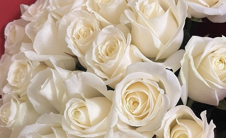 New Baby Flowers for New Moms Needing Encouragement
