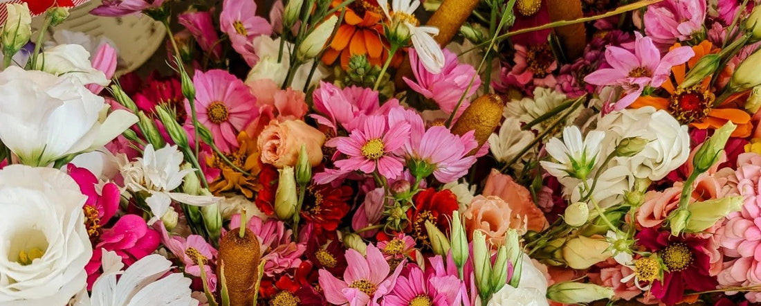 Sending Flowers to a Friend Who Just Had a Baby When You Can’t Visit Yet