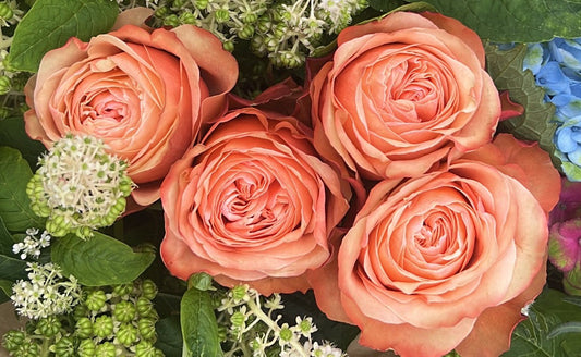 The Best Occasions to Gift Rose Bouquets