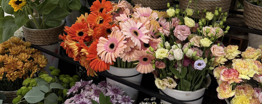 Sending Flowers to a Friend After Their Big Exam or Presentation