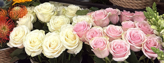 The Difference You Can See and Feel When Roses Come Direct from the Farm