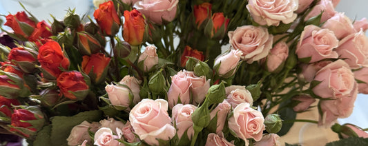 Why Sending Roses Just Because Means More Than You Think