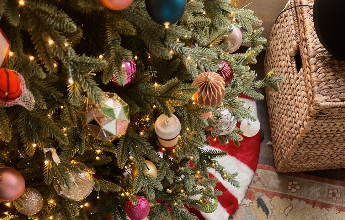 Aquarossa Farms Christmas Eve Reflections