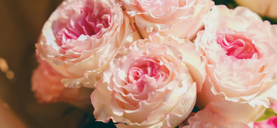 Why Flowers Help with Healing