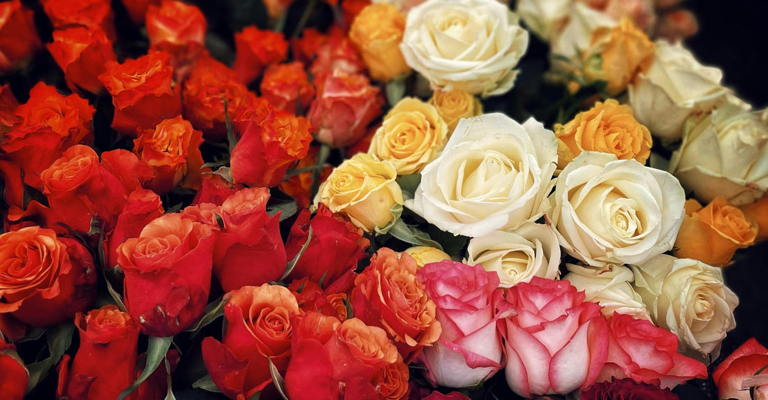 How Flowers Help Maintain Consistency in a Long Distance Relationship