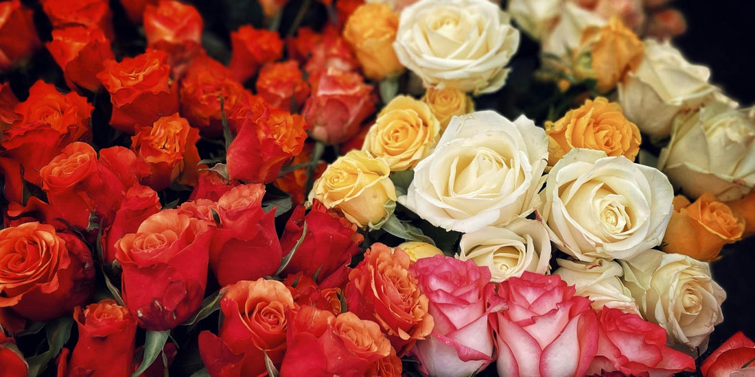 Gifting Fresh Roses For New Mothers