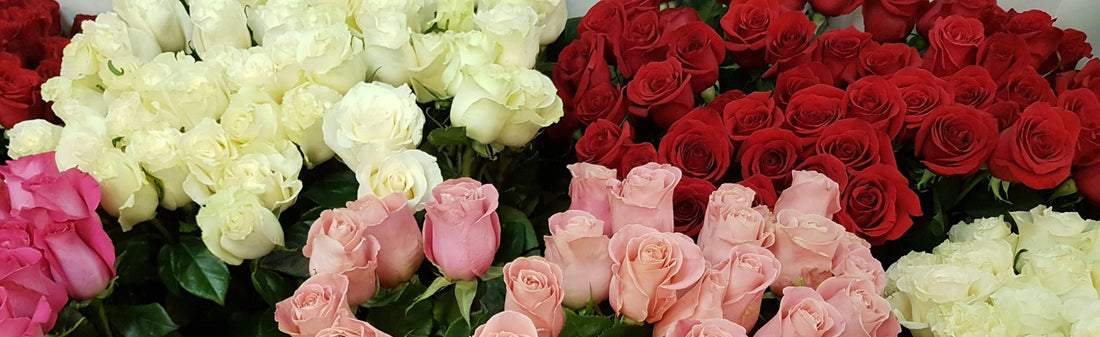 How Flowers Support Connection Through the Seasons of a Long Term Relationship