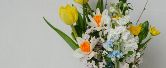 How Flower Subscriptions Save You Time, Money, and Stress