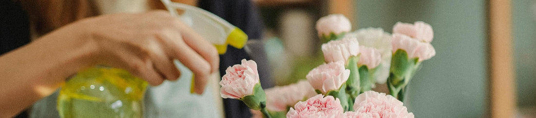 How to Keep Your Flowers Fresh Longer: Simple Tips and Tricks