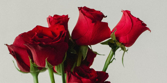 Thoughtful Ways to Gift Roses to Family Friends This Fourth of July