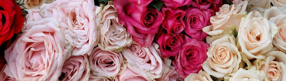 Birthday Flowers, According to Your Friend Circle