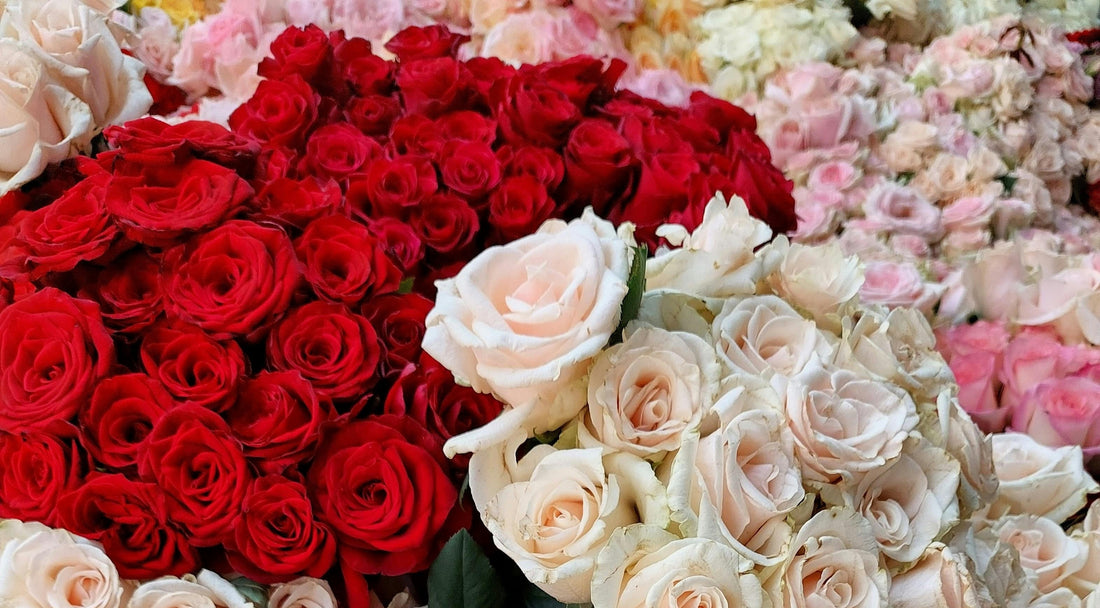 Buying Yourself Flowers on Valentine’s Day Can Be the Best Part of the Day