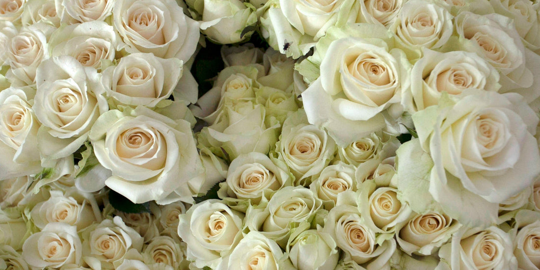 Thoughtful Flowers for Administrative Professionals Day