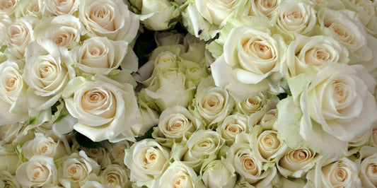 Thoughtful Flowers for Administrative Professionals Day