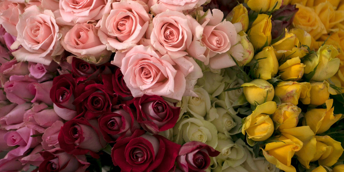 Congratulating Someone Who Is Moving with Flowers This Summer