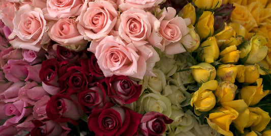 Congratulating Someone Who Is Moving with Flowers This Summer