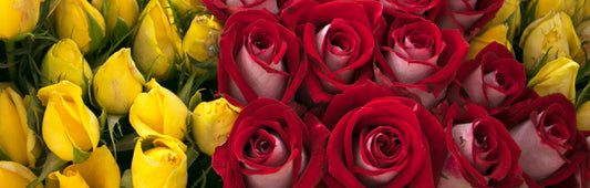 Spring Flowers for Friendships That Deserve Attention