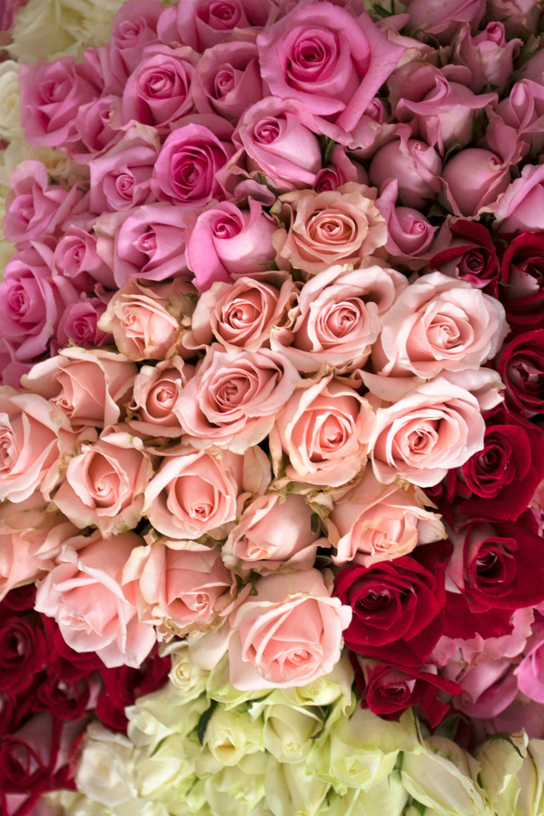 A Gentle Reminder: You Deserve Flowers Too This Spring
