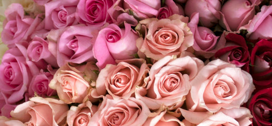 Sending Spring Flowers for Birthdays, Promotions, and Fresh Starts