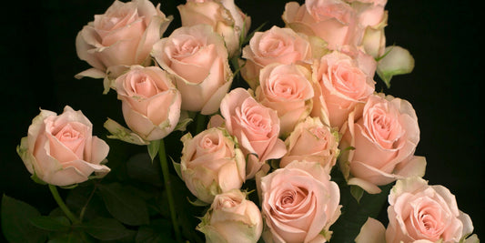 Everyday Ways to Show Appreciation to Teachers with Flowers